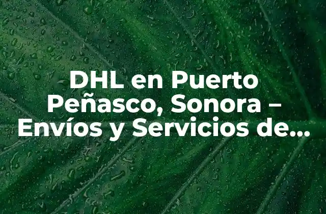 Dhl en Puerto Peñasco, Sonora – Envíos y Servicios de Logística