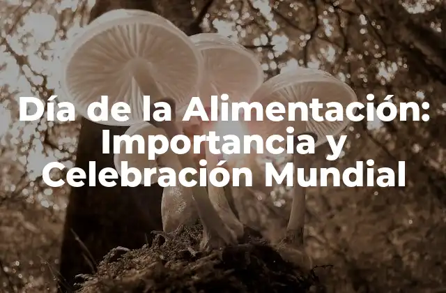 Día de la Alimentación: Importancia y Celebración Mundial 2 Orígenes del Día de la Alimentación