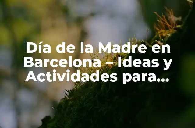 Día de la Madre en Barcelona - Ideas y Actividades para Celebrar 2 Regalos originales para el Día de la Madre en Barcelona