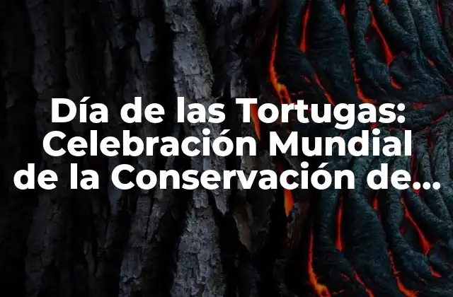 Día de las Tortugas: Celebración Mundial de la Conservación de las Tortugas