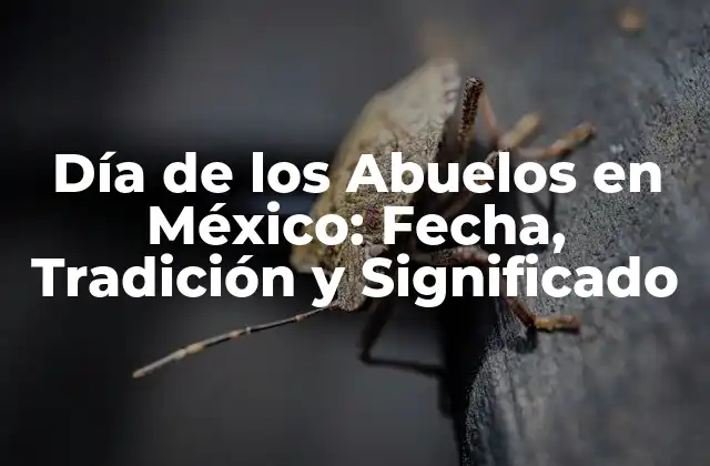 Día de los Abuelos en México: Fecha, Tradición y Significado