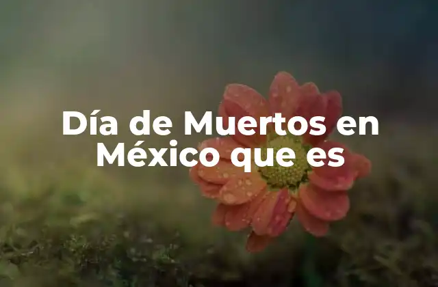 Día de Muertos en México que es