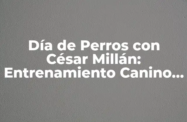 Día de Perros con César Millán: Entrenamiento Canino con el Expert