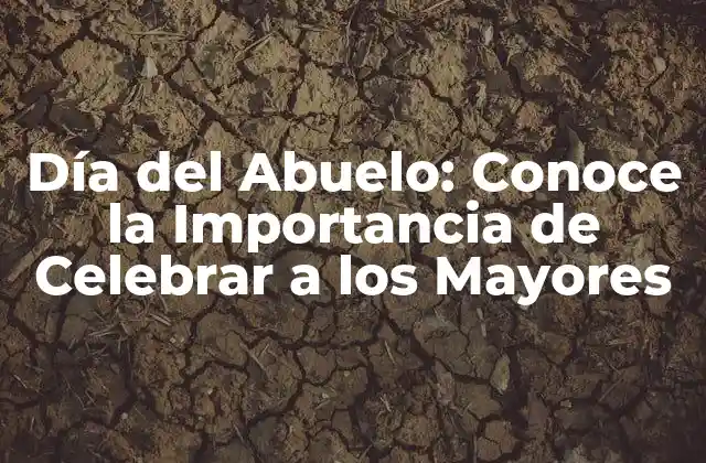 Día Del Abuelo: Conoce la Importancia de Celebrar a los Mayores