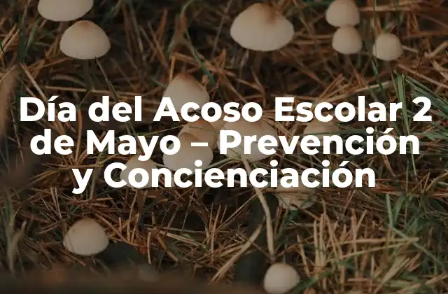 Día Del Acoso Escolar 2 de Mayo – Prevención y Concienciación