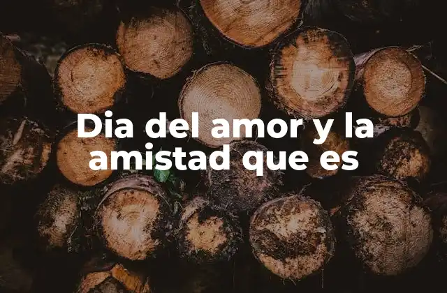 Dia Del Amor y la Amistad que es