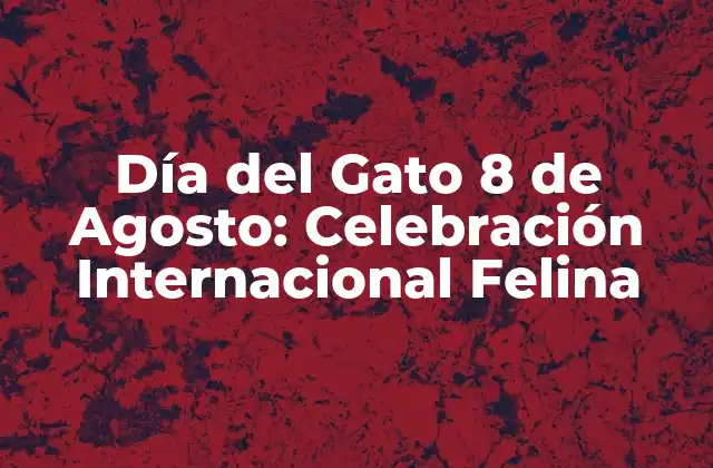 Día Del Gato 8 de Agosto: Celebración Internacional Felina