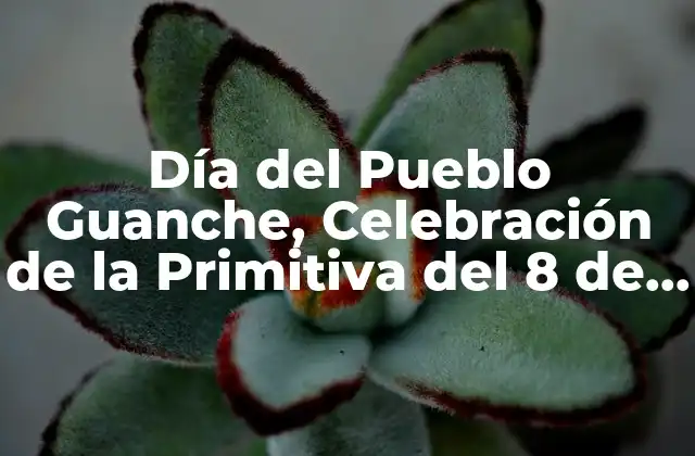 Día Del Pueblo Guanche, Celebración de la Primitiva Del 8 de Abril