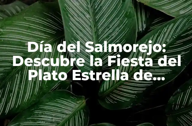 Día Del Salmorejo: Descubre la Fiesta Del Plato Estrella de Córdoba