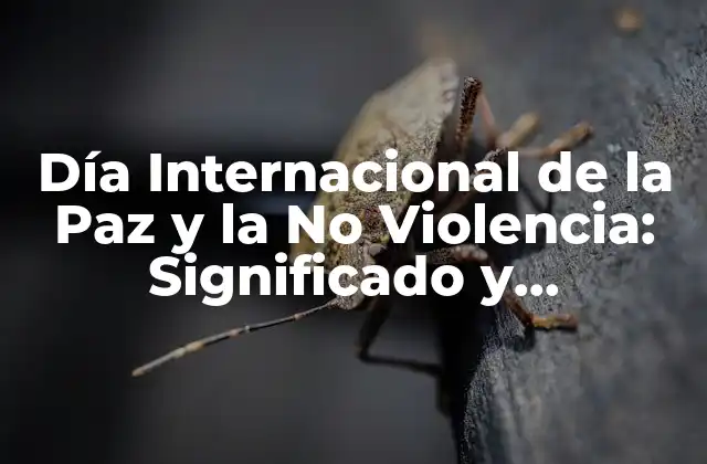 Día Internacional de la Paz y la No Violencia: Significado y Celebración