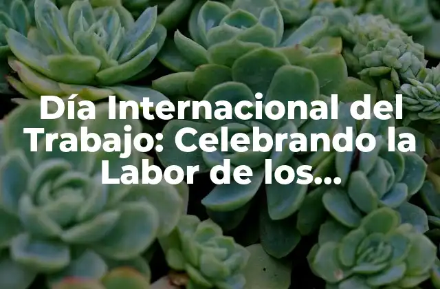 Día Internacional Del Trabajo: Celebrando la Labor de los Trabajadores