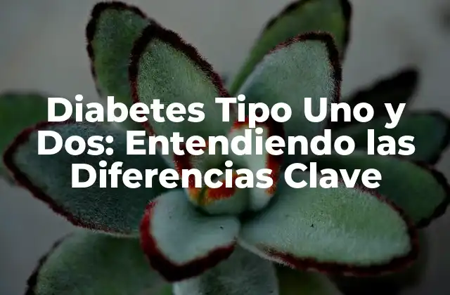 Diabetes Tipo Uno y Dos: Entendiendo las Diferencias Clave
