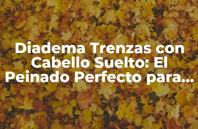 Diadema Trenzas con Cabello Suelto: el Peinado Perfecto para Cualquier Ocasiión