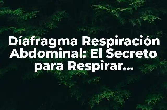 Díafragma Respiración Abdominal: el Secreto para Respirar Correctamente