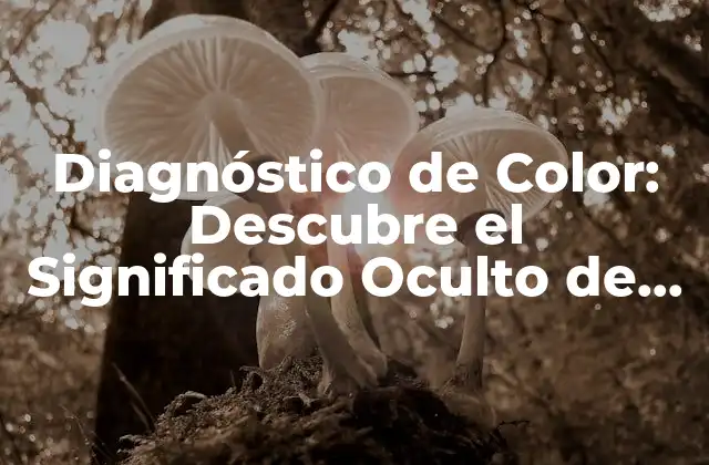 Diagnóstico de Color: Descubre el Significado Oculto de los Colores