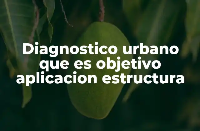 Diagnostico Urbano que es Objetivo Aplicacion Estructura