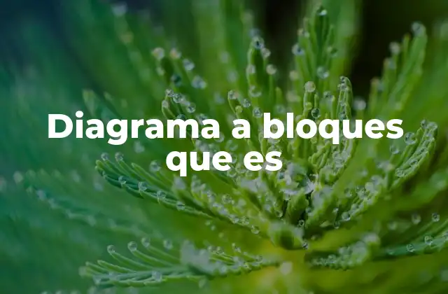 Diagrama a Bloques que es