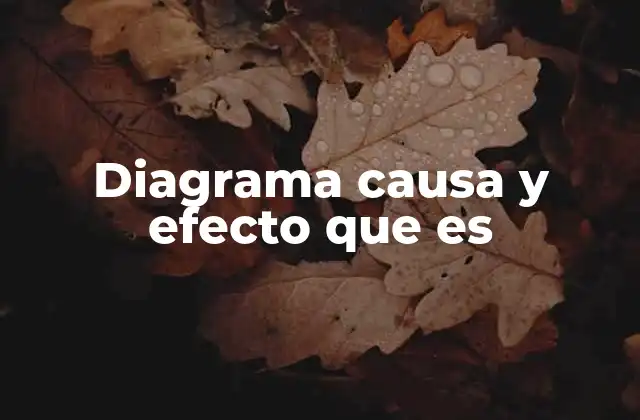 Diagrama Causa y Efecto que es