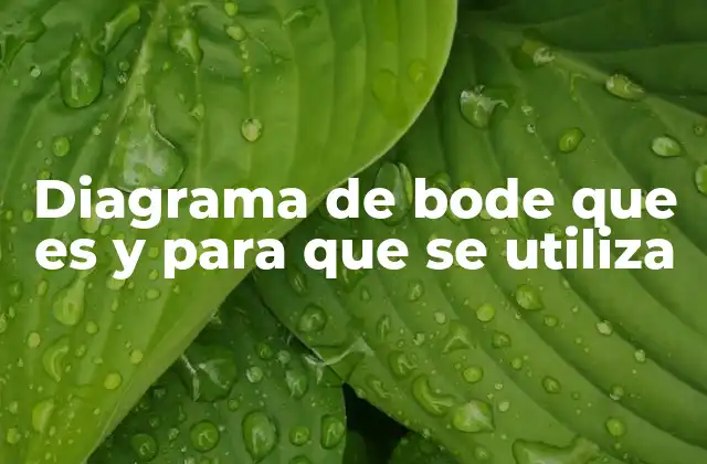 ¿Cómo se interpreta un diagrama de Bode?