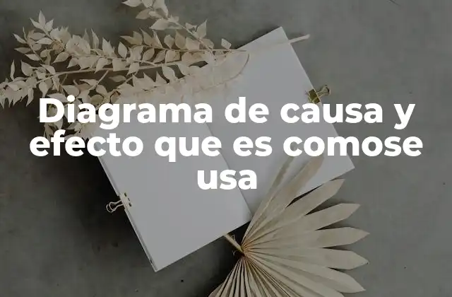 Diagrama de Causa y Efecto que es Comose Usa