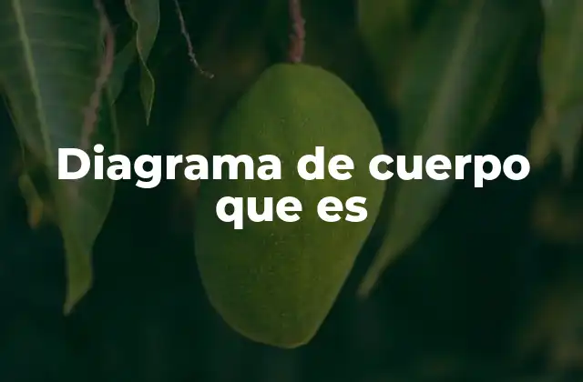 Diagrama de Cuerpo que es