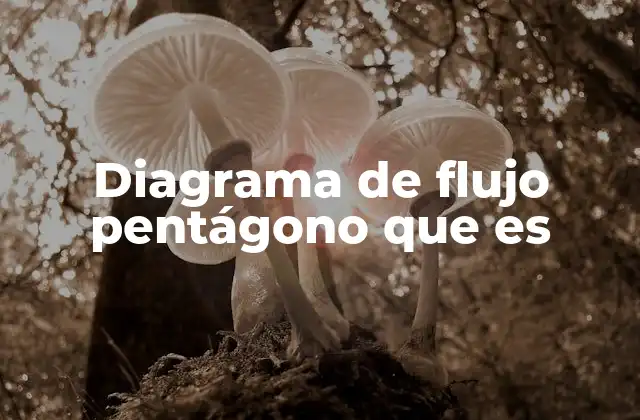 Diagrama de Flujo Pentágono que es