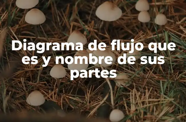 Diagrama de Flujo que es y Nombre de Sus Partes 2 Cómo se construye un diagrama de flujo paso a paso