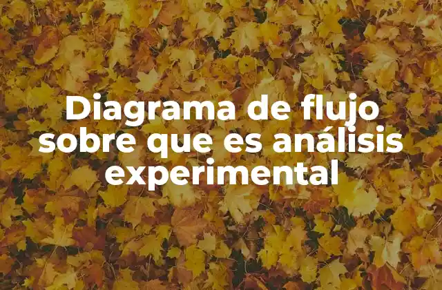 Diagrama de Flujo sobre que es Análisis Experimental