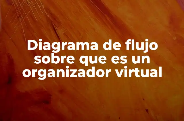 Diagrama de Flujo sobre que es un Organizador Virtual