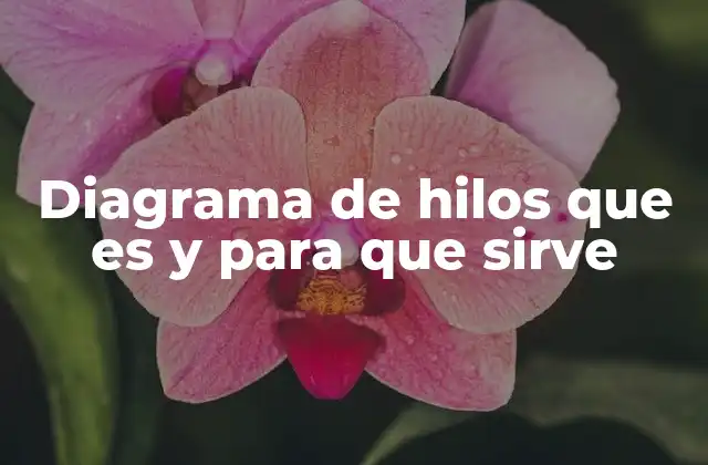 Diagrama de Hilos que es y para que Sirve