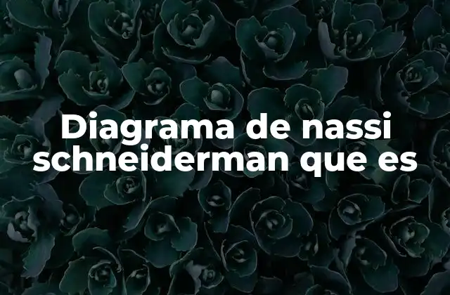 Diagrama de Nassi Schneiderman que es