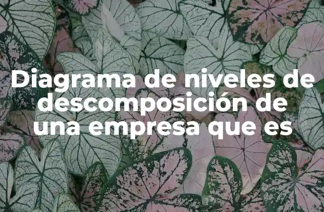 Diagrama de Niveles de Descomposición de una Empresa que es