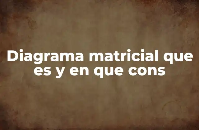 Aplicaciones del diagrama matricial en la gestión de proyectos