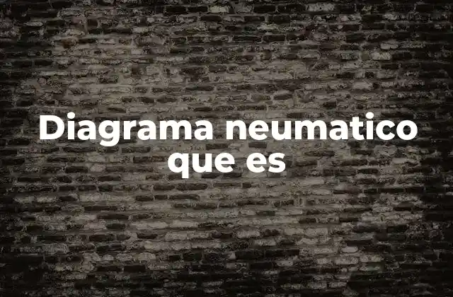 Diagrama Neumatico que es