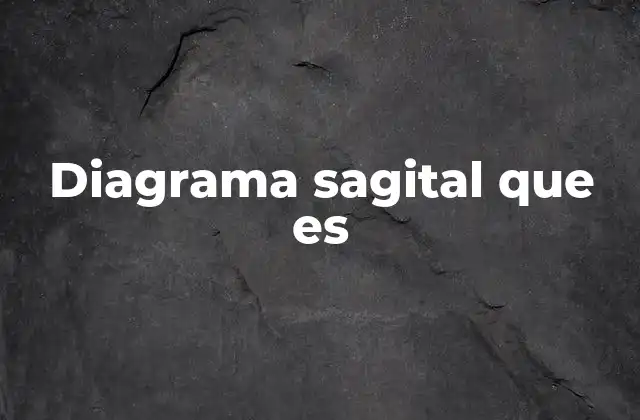 Diagrama Sagital que es