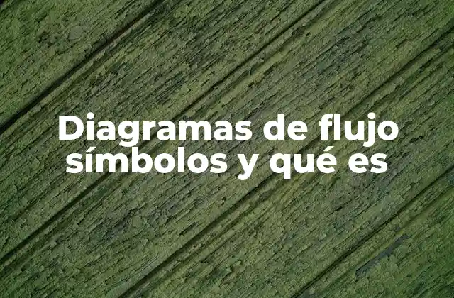 Diagramas de Flujo Símbolos y Qué es