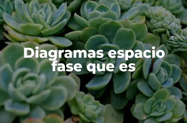 Diagramas Espacio Fase que es