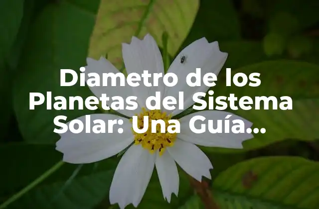Diametro de los Planetas Del Sistema Solar: una Guía Completa