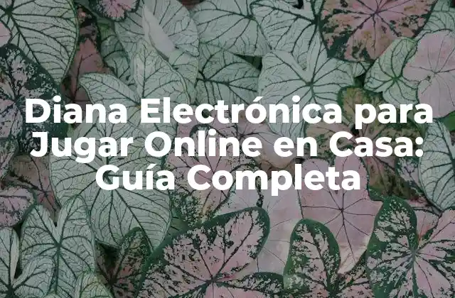 Diana Electrónica para Jugar Online en Casa: Guía Completa