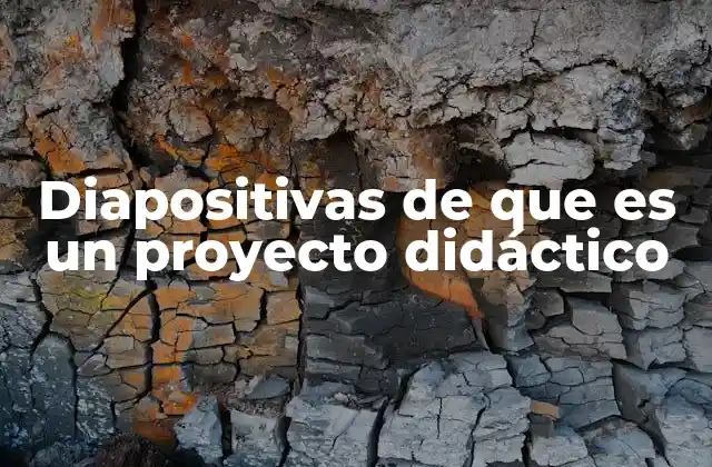 Diapositivas de que es un Proyecto Didáctico