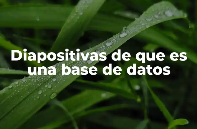 Diapositivas de que es una Base de Datos