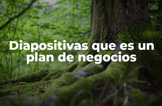 Diapositivas que es un Plan de Negocios