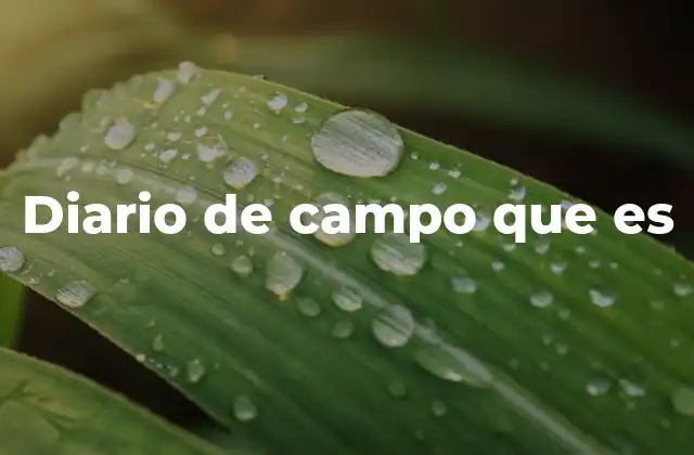 Diario de Campo que es
