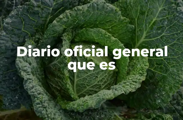 El papel del diario oficial en la gestión pública