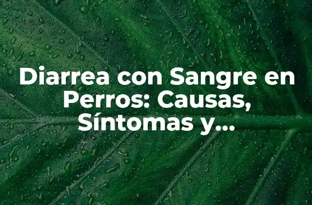 Diarrea con Sangre en Perros: Causas, Síntomas y Tratamiento