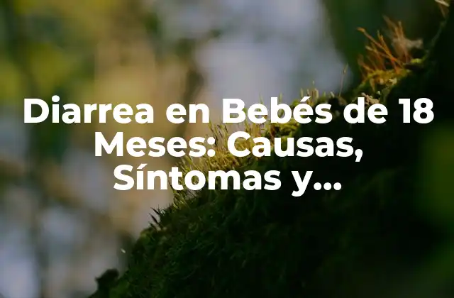 Diarrea en Bebés de 18 Meses: Causas, Síntomas y Tratamiento