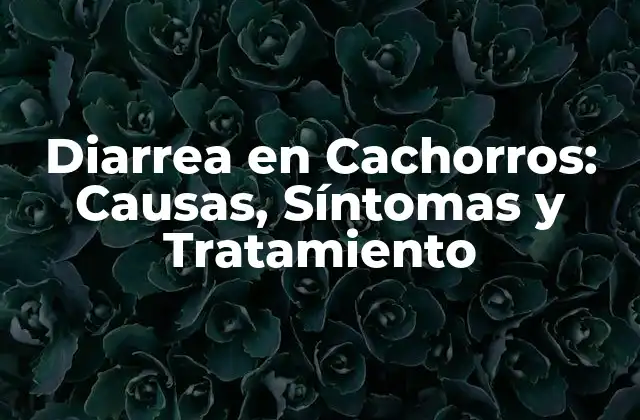 Diarrea en Cachorros: Causas, Síntomas y Tratamiento 2 Causas de la Diarrea en Cachorros
