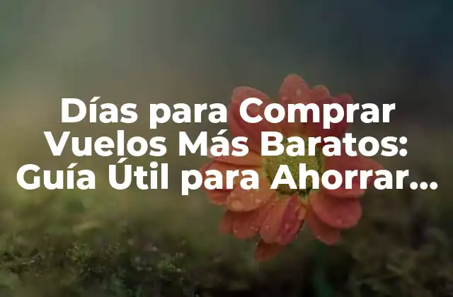 ¿Cuándo Comprar Vuelos para Obtener los Mejores Precios?