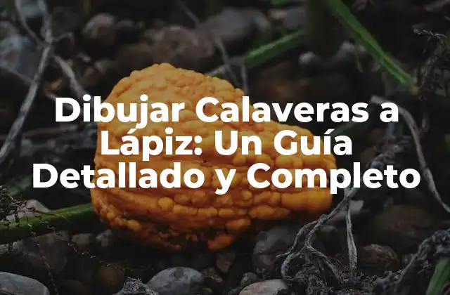 Dibujar Calaveras a Lápiz: un Guía Detallado y Completo