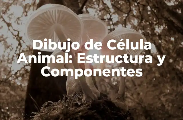 Dibujo de Célula Animal: Estructura y Componentes
